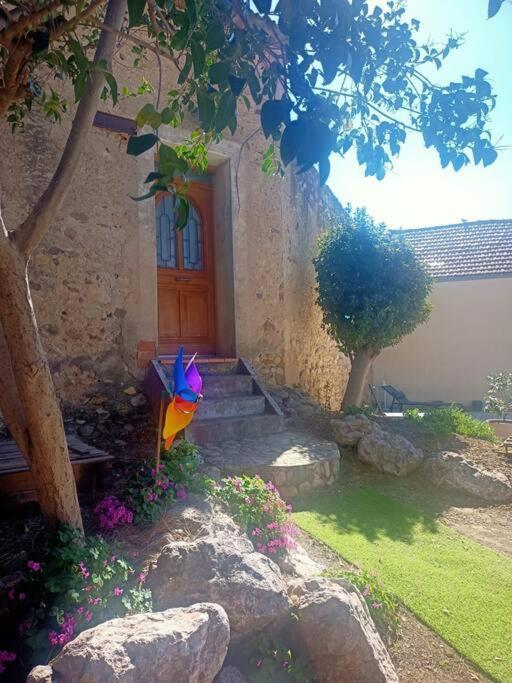 Le Clos Du Pin Thezan-les-Beziers Экстерьер фото